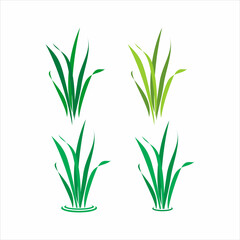 grass vector logo design template

