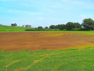 Fototapeta na wymiar 梅雨晴れの平日の河川敷の整地された野球場風景