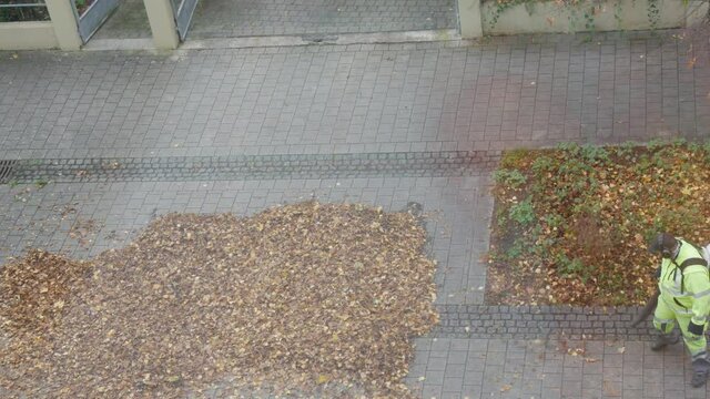 Janitors in bright light green suits remove dry fallen leaves with the help of special wind blowers