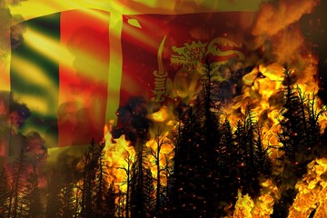 Forest fire natural disaster concept - burning fire in the trees on Sri Lanka flag background - 3D illustration of nature