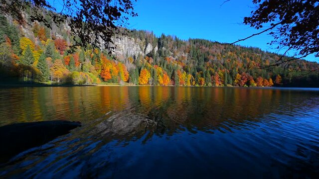 Autumn on the Feldberg with the Feldsee wrapped in beautiful warm autumn colors in the heart of the Black Forest