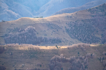 View from the peak at Scarita Belioara natural rezerve in Transylvania, Romania