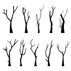 bare dead tree silhouette. isolated on white background. vector illustration