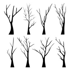bare dead tree silhouette. isolated on white background. vector illustration