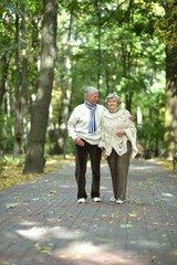 Fototapeta premium Portrait of old couple walking in autumn forest