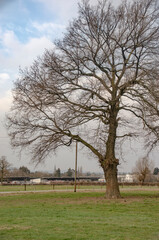 Obraz premium Aachen Eilendorf: Landschaft Februar 