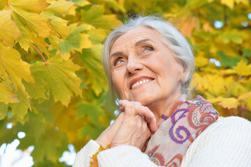 Close up portrait of happy senior woman in autumn park