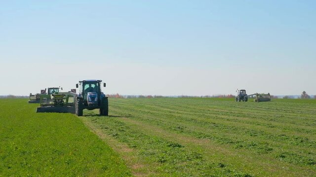 harvesting green fodder in the field