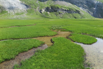 Segnesboden Flims, Unesco-Welterbe Tektonikarena, Sardona