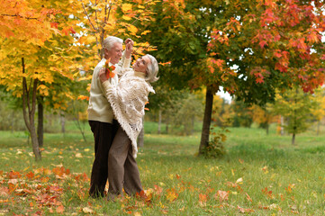 Portrait of senior couple dancing in the park