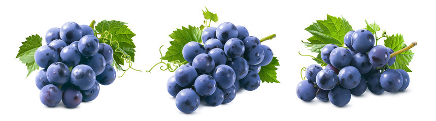 Small bunches of blue grapes with leaves set isolated on white background