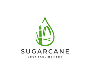 Sugar cane fields, tropical culture logo design. Sugarcane plantation, sugar and food, sugar stem, plant and leaves vector design. Sugarcane harvest stalk logotype