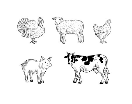 farm animals set, engraving style illustrations isolated on white background, black lines, animals .