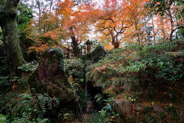 金沢・西田家庭園の紅葉
