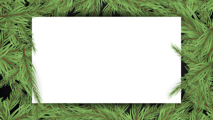 Christmas tree branches and border of green branch of pine with white paper for text , illustration Vector EPS 10