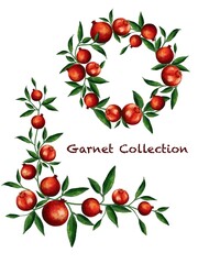 Pomegranate with foliage frame. Pomegranate Set