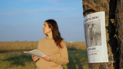 Nervous owner woman with flyers stack stands in autumn park focus on missing dog poster report with...