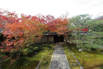 京都　モミジの永観堂