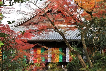京都　モミジの永観堂