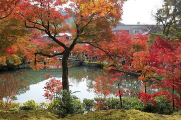 京都　モミジの永観堂