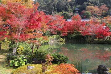 京都　モミジの永観堂