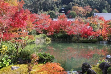 京都　モミジの永観堂