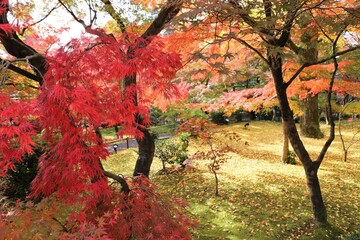 京都　モミジの永観堂