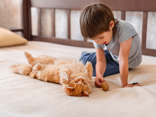 Smiling kid plays with cute ginger cat on couch. Friendship between boy and fluffy pet. Cozy home...