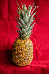 pineapple close up on red background