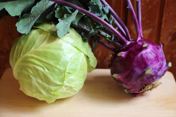 Purple kohlrabi and white cabbage