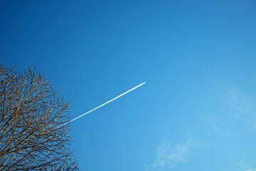 A jet plane flies high in the sky above the branches of a tree on a sunny winter day