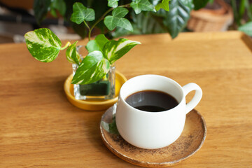 コーヒーと観葉植物