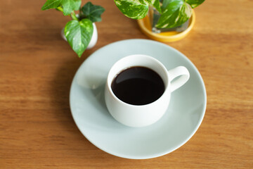 コーヒーと観葉植物