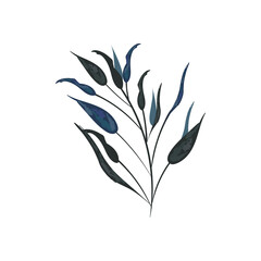 watercolor plant illustration