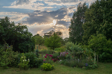 Beautiful blooming countryside garden in rays of evening sun breaking through the clouds over it