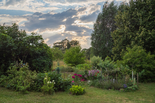 Beautiful blooming countryside garden in rays of evening sun breaking through the clouds over it