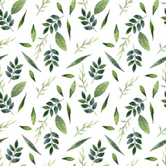Watercolor seamless botanical pattern with green herbs and leaves on white background for prints, packages, scrapbook, wallpapers and textile.