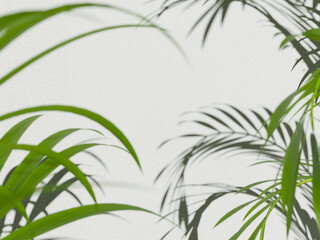 shadow of palm leaves background light shadow of a plant 3d illustration