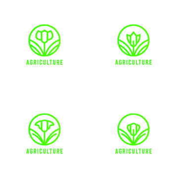 Agriculture and organic farm logo design