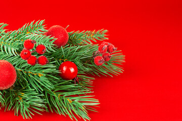 christmas card. Branches of a Christmas tree with red berries on a red background. Red color.