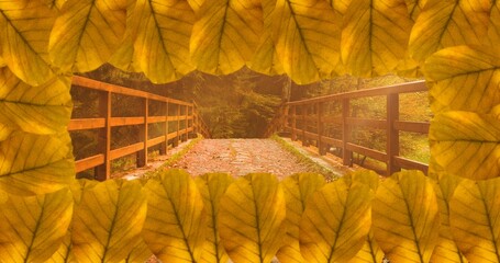 Bridge seen through autumn leaves with copy space and frame