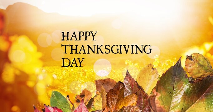 Digital composite image of happy thanksgiving day text and autumn leaves with copy space