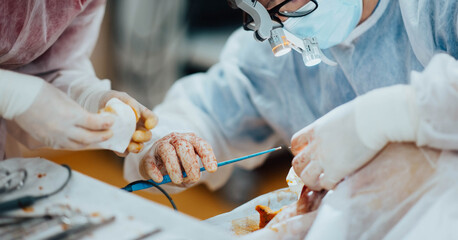 male plastic surgeon operates in the operating room of the medical center. The concept of a...