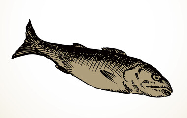 Vector fishes still life from the biblical story