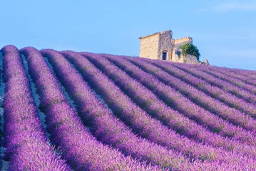 Foto op Plexiglas Lavender field Provence with an old house on a hill © Fyle
