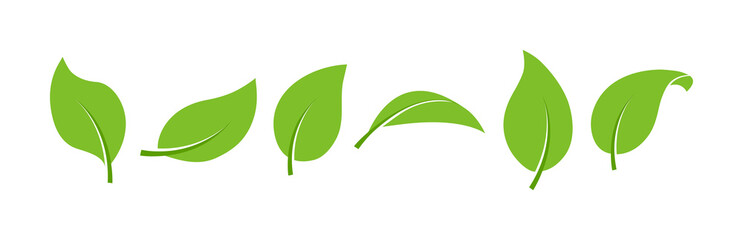 Green leaf icon vector organic, eco plant set different shapes isolated on white background. Nature illustration