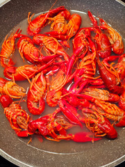 Boiled crawfish on a grey plate. Crawfish resembles and taste like lobsters. It is also known as Crayfish in some areas. Bright-colored crawfish. Seafood. Healthy lifestyle concept.