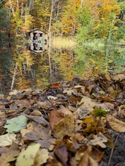 view of the autumn forest with a gazebo reflected in the pond against the backdrop of fallen leaves