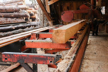 Wood processing at a sawmill. Preparation of logs for production. Timber industry