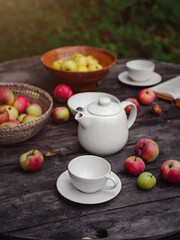 Obraz na płótnie Canvas beautiful autumn still life in apple orchard